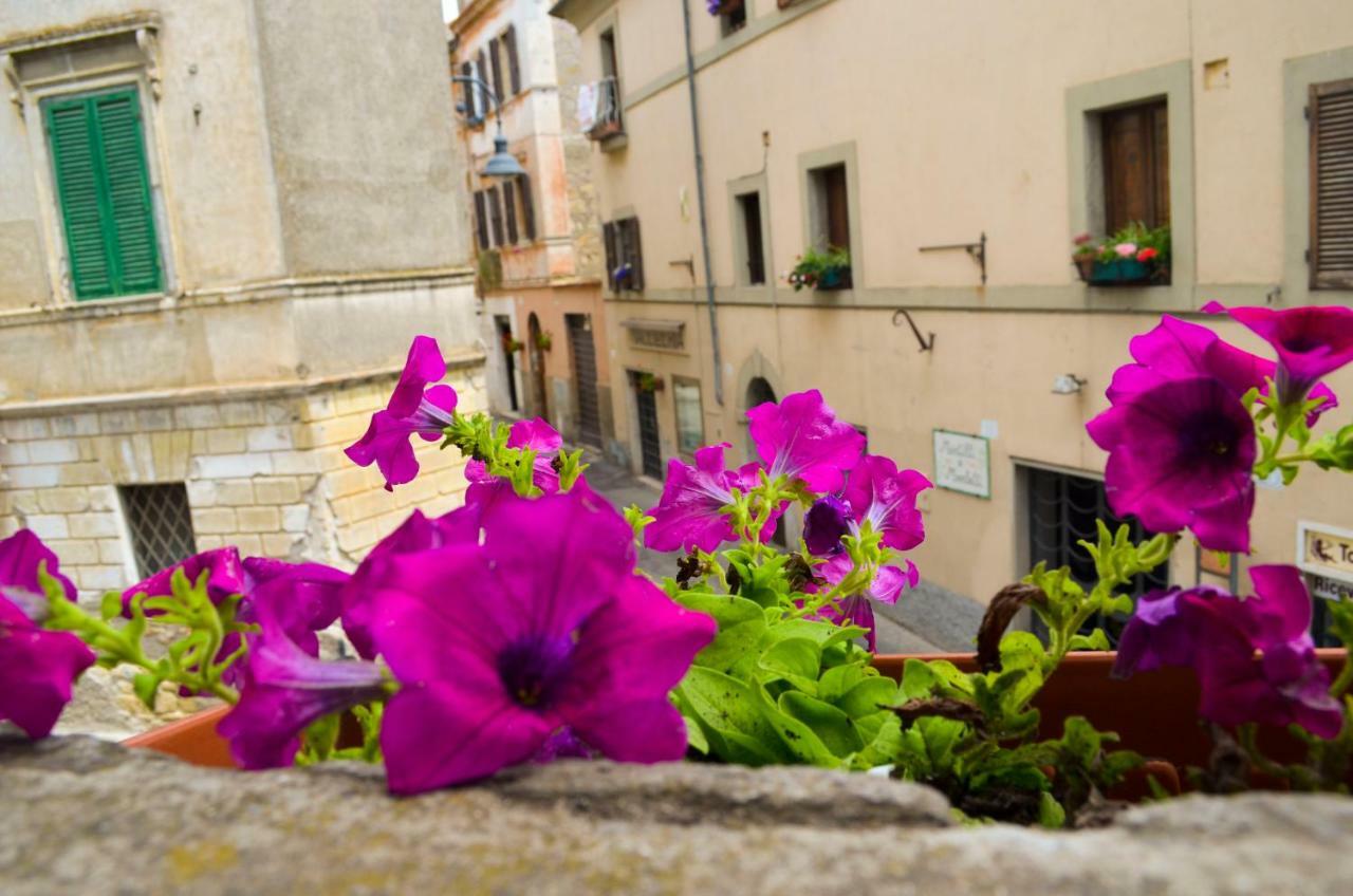 B&B Chiostro San Marco Tarquinia Exterior photo